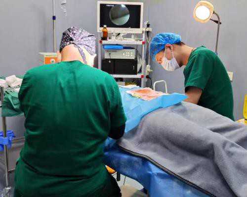 什么是假两性畸形-助孕电话号码