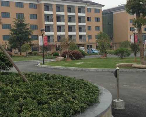 羊水穿刺羊水培育失败的几率是多少