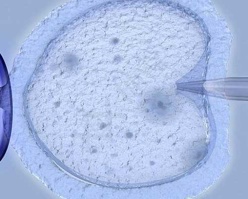 广州代怀孕价格,【广州有供卵试管婴儿医院吗】婚3年，备孕2年。迟迟没有怀上