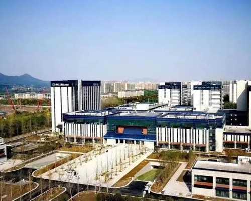 广州哪家医院做代孕好,广州化妆品老板娘试管婴儿,广州widelia老板娘