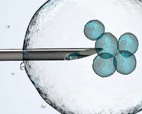 试管胚胎移植后5大注意事项