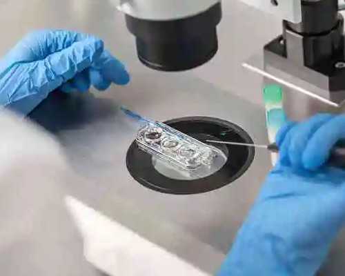 广州有供卵的医院是哪一家,广州金贝供卵多少钱_代怀孕网费用