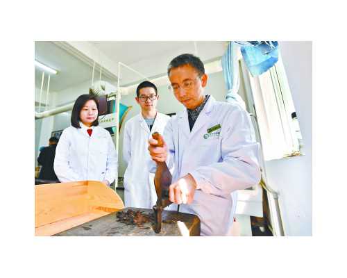 广州供卵生男孩试管条件解读，广州试管生殖医院推荐