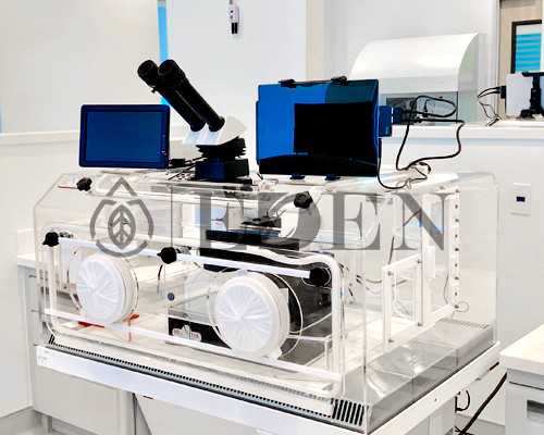 广州金贝供卵医院官网,广州供卵生子医院_小狗吞食异物怎么取出