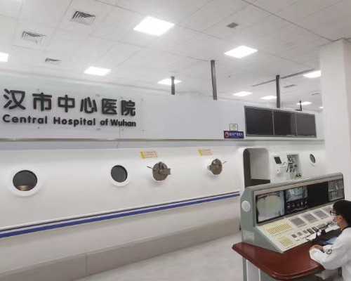 范范怀双胞胎靠促排-代生男宝