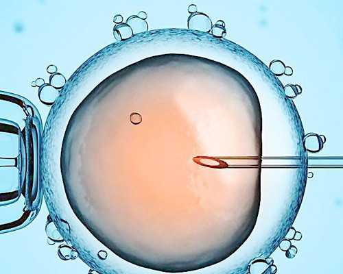 广州做供卵试管被骗的全过程,广州供卵试管婴儿中介-iphone8关注度