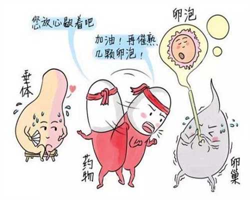 北京靠谱代孕，北京代孕生殖中心